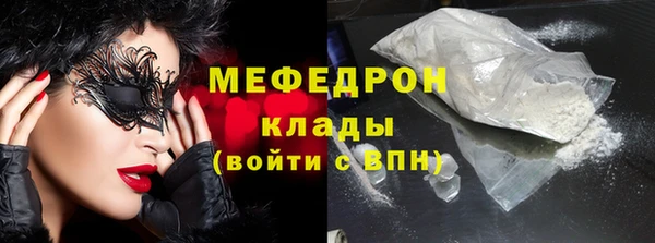 индика Заволжье