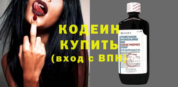 индика Заволжье