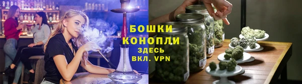 индика Заволжье