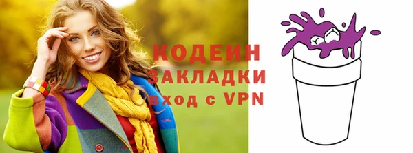 индика Заволжье