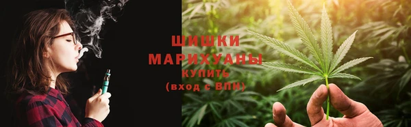 индика Заволжье