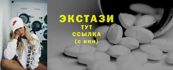индика Заволжье