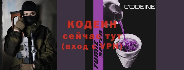 индика Заволжье