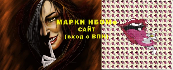 индика Заволжье