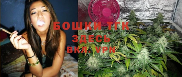 индика Заволжье