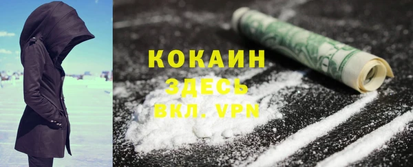 индика Заволжье